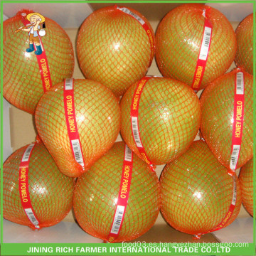 11KG Open Carton Venta caliente Pinghe miel fresca Pomelo para el mercado de Rusia